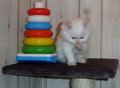 Das ist noch einmal Jully 